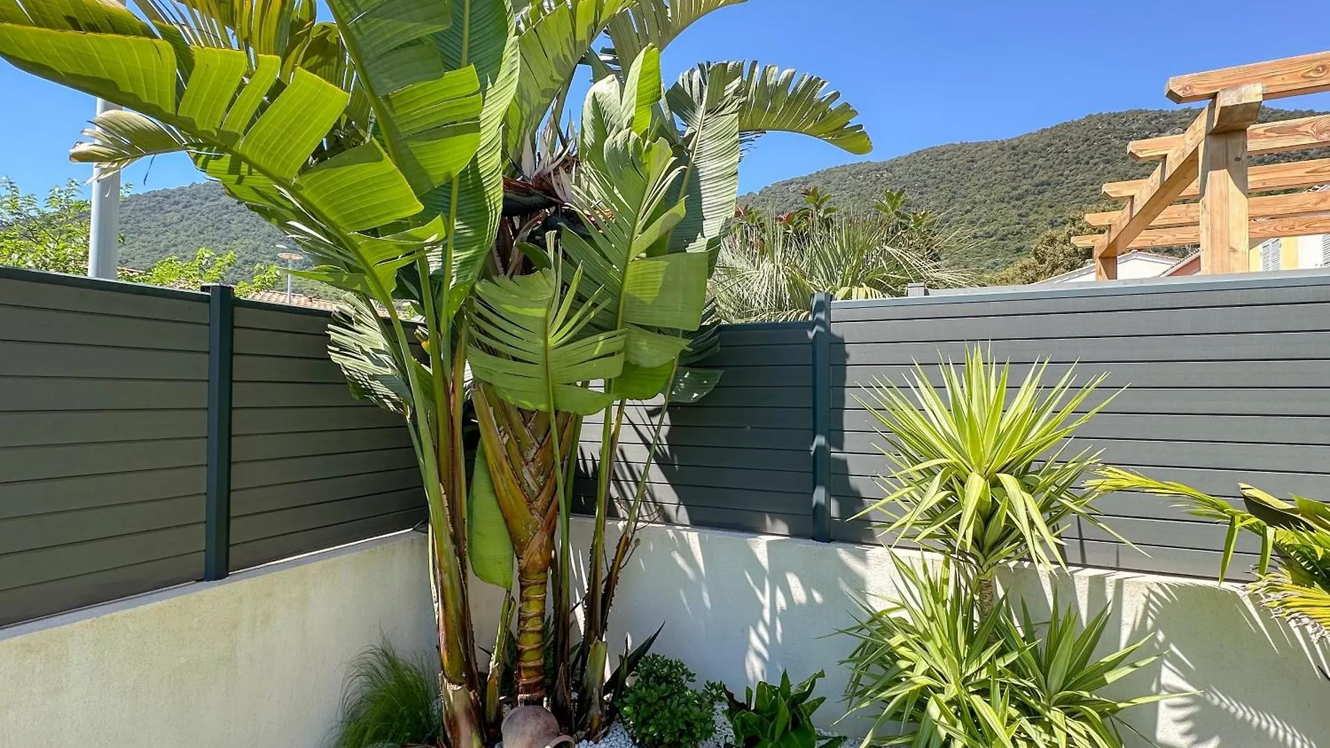 Villa Strelitzia Cavalaire-sur-Mer France